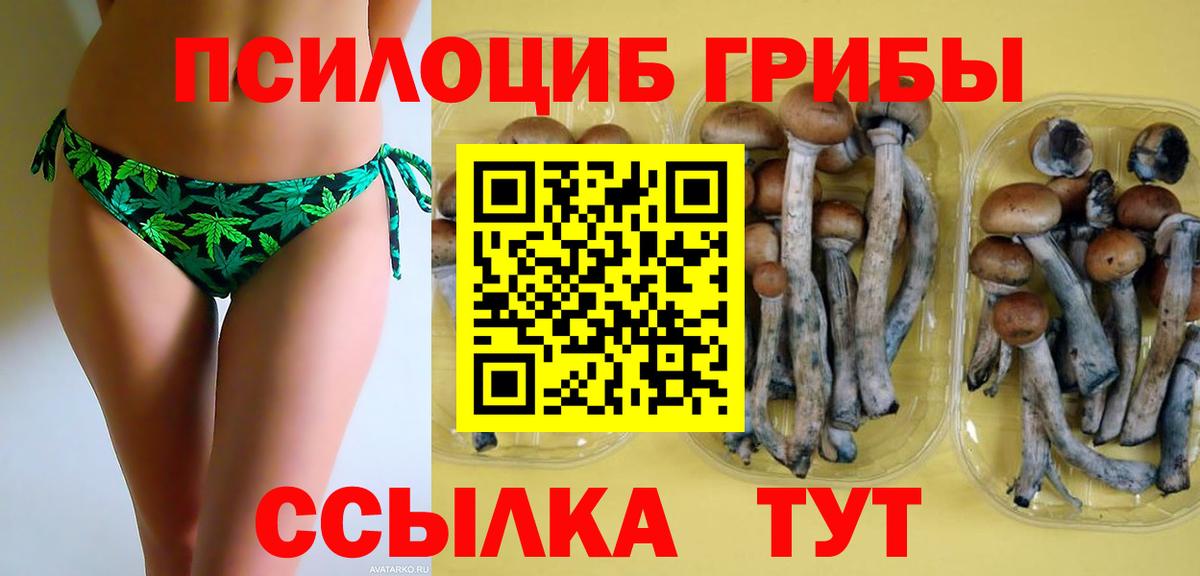 Минусинск  Псилоцибиновые грибы прущие грибы  Вход с VPN 